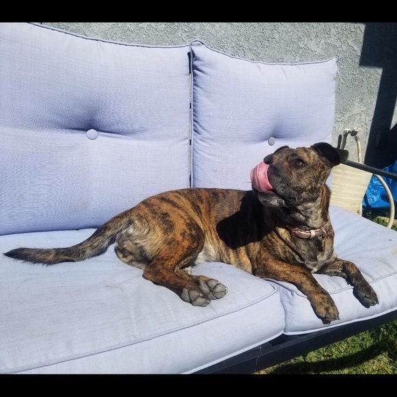 Meet Your Seller! 💀 - Picture 3 of 8